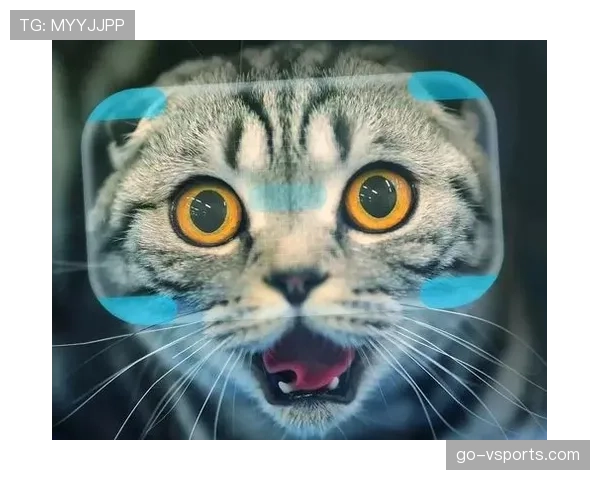 掌敏洁家的猫都比你我活得精致
